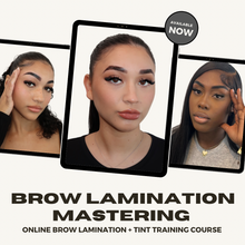 Load image into Gallery viewer, ONLINE BROW LAMINATION + TINT MASTERING COURSE
